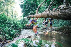 BIB: 
                            <button type="button" onclick="openModal(25436816)" class="btn btn-primary btn-sm float-right btn-popup" data-toggle="modal" data-target=".modal-high-quality">
                        <i class="fas fa-shopping-cart"></i> Add to Cart
                    </button>
                                            <button type="button" onclick="isThisMe(25436816, true)" class="btn btn-success btn-sm float-right btn-popup btn-isme hidden" data-toggle="tooltip" data-placement="bottom" title="นี่คือรูปของคุณใช่ไหม คลิกที่นี่เพื่อเอาเข้าอัลบั้ม">
                        <i class="fas fa-plus"></i> Add to album
                    </button>
                    <button type="button" onclick="isThisMe(25436816, false)" class="btn btn-warning btn-sm float-right btn-popup btn-isnotme hidden">
                        <i class="fas fa-ban"></i> Remove from album
                    </button>